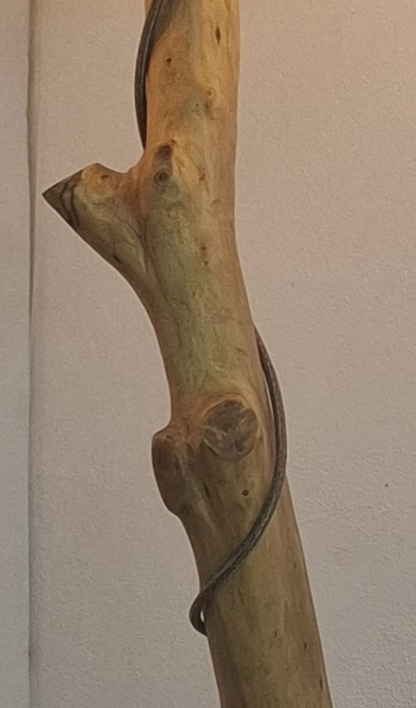 Pormenor do tronco de oliveira do candeeiro ALCE, com nós e veios naturais da madeira e o cabo têxtil enrolado em espiral | LAMS Woodcrafts